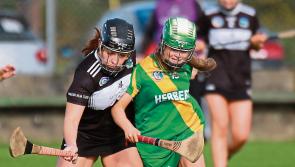 Limerick camogie clubs move on to Munster Championship 