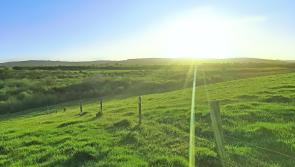 Green Limerick: Bright future for solar farm first, with construction underway