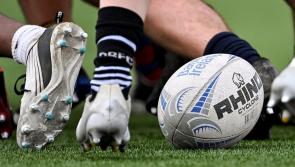 Limerick club and school rugby fixtures - October 30 to November 7