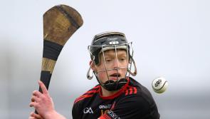 Dr Harty Cup campaign continues for three Limerick schools today 