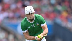 Limerick's fixtures taking shape for 2025 National Hurling League campaign 