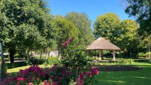 Four Green Flag awards for 'exceptional' outdoor amenities in Limerick 