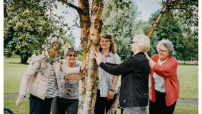 Dance Limerick celebrates 'Creating a Climate for Change in Limerick' with special free events