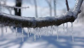 Met Éireann warns blast of 'cold arctic air' could impact travel as warnings take effect