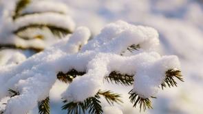 BREAKING: Met Eireann warns of 'significant snowfall accumulations' in Limerick