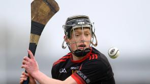 Two Limerick schools advance to knockout stages of Dr Harty Cup