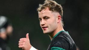 Two Munster players  named in Ireland rugby team to play Fiji