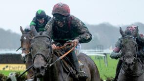 WATCH: Limerick trainer Charles Byrnes enjoys big race success in Haydock