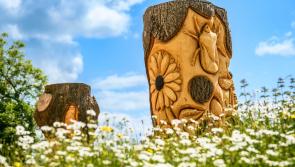 Green Limerick: Council on award shortlist for city greenway project