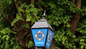 Gardaí appeal for witnesses after woman found unresponsive in car park