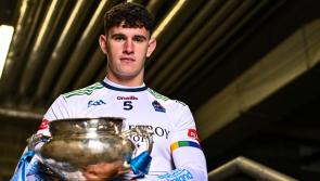 Team-by-team guide: What Limerick colleges are involved in this season's Fitzgibbon Cup