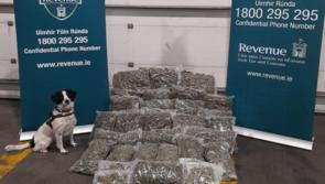 Detector dog Milo sniffs out seizure of more than 20 kilos of cannabis worth over €400k