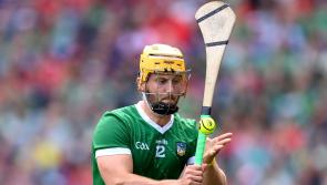 A year in review of Limerick hurling from county to club