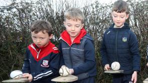 PICTURES: Monaleen stages successful charity road hurling event 
