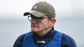 A year in review of Limerick football from county to club