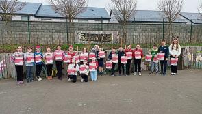 Green Limerick: Castletroy school runners-up in sustainability competition