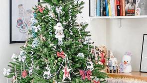 Green Limerick: Free disposal of Christmas trees this New Year