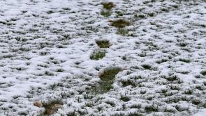 Adverse weather forecast hits weekend Limerick District and Desmond Leagues fixture schedule
