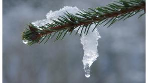 The big thaw is finally here as Met Éireann forecasts an end to cold snap this weekend