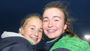 PICTURES: Supporters cheer on Limerick senior hurling team against Dublin
