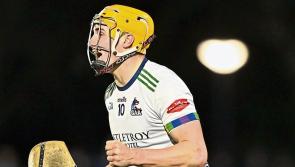 Team-by-team guide: Limerick hurling stars begin Fitzgibbon Cup campaign