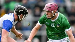 Limerick senior hurlers to play home challenge game on Sunday