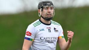 Limerick colleges chasing Fitzgibbon Cup quarter-final spots