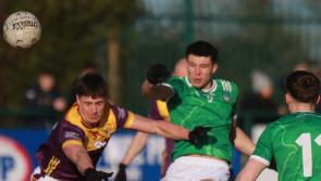 Limerick suffer Division 4 Allianz Football League defeat to Wexford