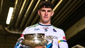 Five Limerick hurling stars involved in this weekend's Fitzgibbon Cup final