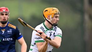 Limerick hurling stars inspire UL to Fitzgibbon Cup final victory over DCU
