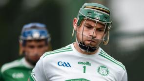 Former Limerick hurler appointed manager of Clare club