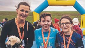 Limerick Athletics - Weekly News Update