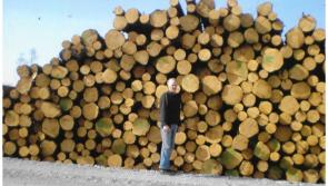 Professional thinning and harvesting by Select Forest Ltd