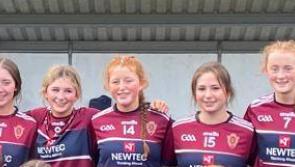 Limerick's Laurel Hill Col&aacute;iste crowned All-Ireland Junior 'C' camogie champions