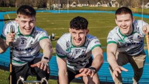University of Limerick celebrate historic clean sweep of Higher Education hurling titles