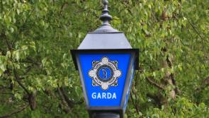 Graffiti daubed at Limerick garda station 