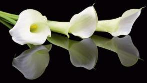 RIP: Limerick deaths and funeral details, May 15