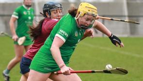 Clinical Limerick power past Westmeath in Very National Camogie League
