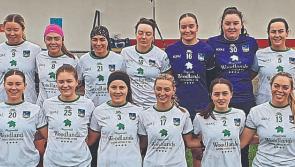 Limerick lose out to Louth in Division 3 Lidl Ladies Football League clash