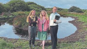 Almost 100 Limerick applicants for The Hare’s Corner Initiative