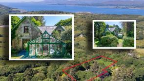 PICTURES: Enchanting old Irish school master's house with dream home potential for €175k
