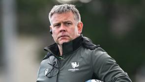 Limerick trio to coach Ireland rugby side in two-test summer tour