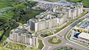'Bat survey' needed to progress 1,400-bed Limerick student housing plan