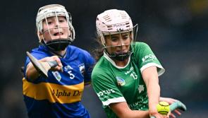Limerick bow out of Munster senior camogie championship at hands of Tipperary
