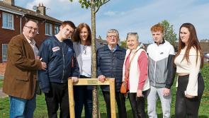 Limerick community group creates memories on a green