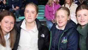 PICTURES: Supporters cheer on Limerick U20 hurling team against Cork