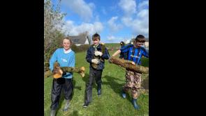 Green-fingered pupils in Limerick get biodiversity grant boost for their school