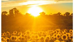 Met Éireann confirms 24 degree heat for Ireland this week but things could take a turn