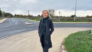 Concern over cuts to number of family homes at new Limerick estate