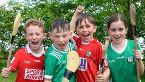 'This could fill Croke Park!' Rivals ready for a red-hot hurling  firestorm in Limerick on Sunday